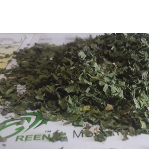 Coriander Leaves Sun Dry