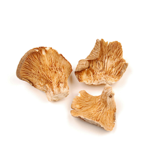 Dried oyster mushroom