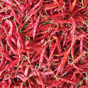 Red Chilli