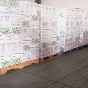 Italian Spaghetti Pasta 250 gm l Tilly High Quality and Dried Pasta l Egyptian Pasta Brand - Image 4