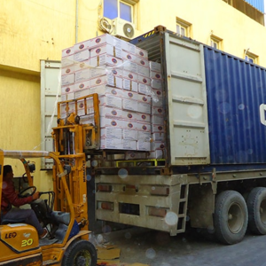 Mada Plus 10kg the best Macaroni for your business Certified ISO 9001 Halal Pasta long life - Image 3