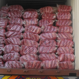 High quality short cut 25 kg Egyptian Pasta For Sale | Egypt top quality pasta exporter wholesale - Image 3