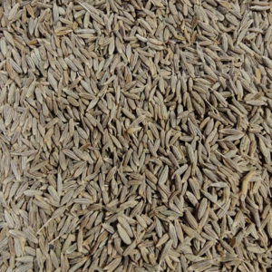 Cumin Seed