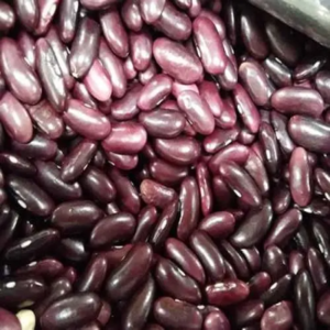 Kidney Beans by STAR HOKU LLC