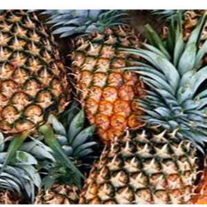 PINE APPLES