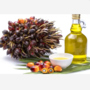 PALM OIL - Image 5