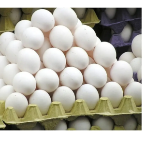 Brown Chicken Eggs