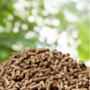 WOOD PALLET - Image 5