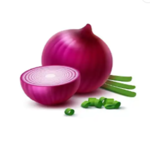Onion - Image 3