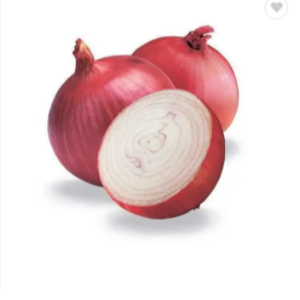 Onion - Image 4