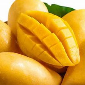 MANGOS