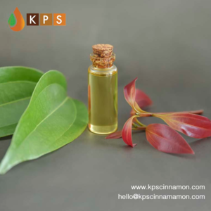 Ceylon Cinnamon Leaf Oil