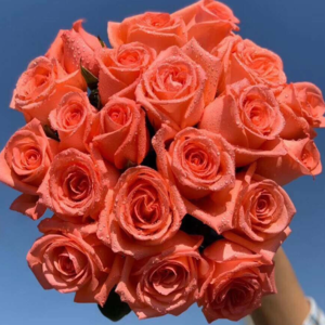 China Flower Supplier Fresh Cut Rose for Garden Wedding