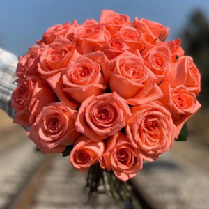 China Flower Supplier Fresh Cut Rose for Garden Wedding - Image 4