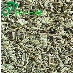 Egyptian Cumin High Quality