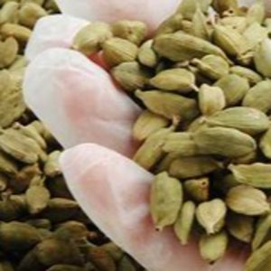 green whole LENTILS by Canadian International Commerce And Trading Company