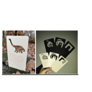 Shadow fairytales - educational toy