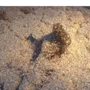 Granular sulver by sport engi