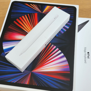 Apple 2023 iPad Mini (Wi-Fi + Cellular, 256GB) - (6th Generation)