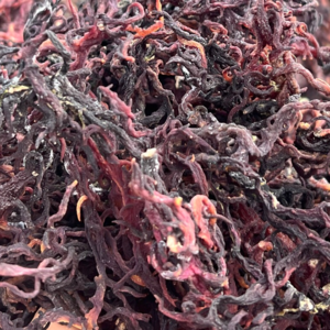 DRIED SEA MOSS FROM VIETNAM