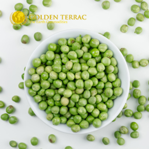 Green Moong Beans by PT Golden Terrac International