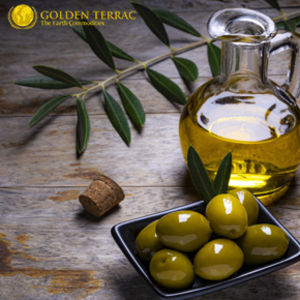 Olive Oil