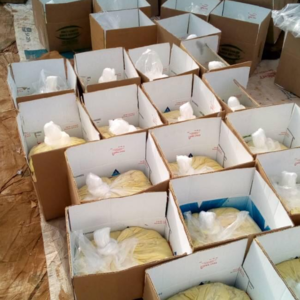 Raw organic shea butter