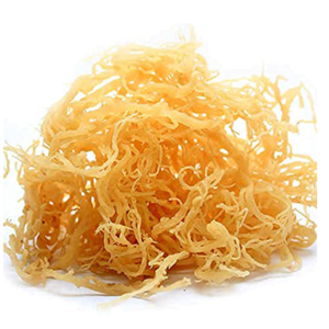 Vietnam 100% Oragnic Natural High Quality Gold Sea Moss/ Irish Moss / Wildcrafted Sun Dried Seamoss Cheap Price