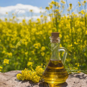 Rapeseed oil by North LLC