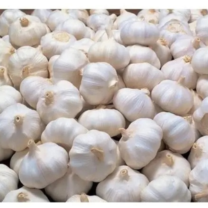 Fresh White Garlic