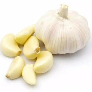 Fresh White Garlic - Image 2