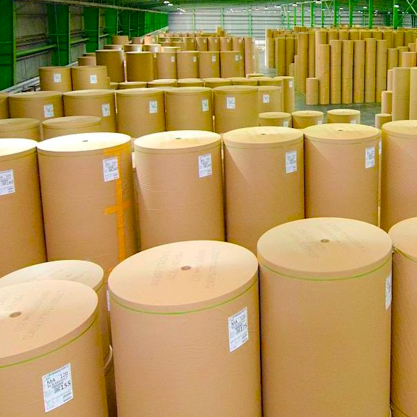 Medium/Fluting, Testliner, Kraft liner paper