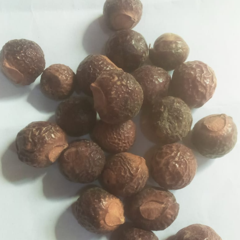 Dried Reetha (Soapnut) – Premium Quality