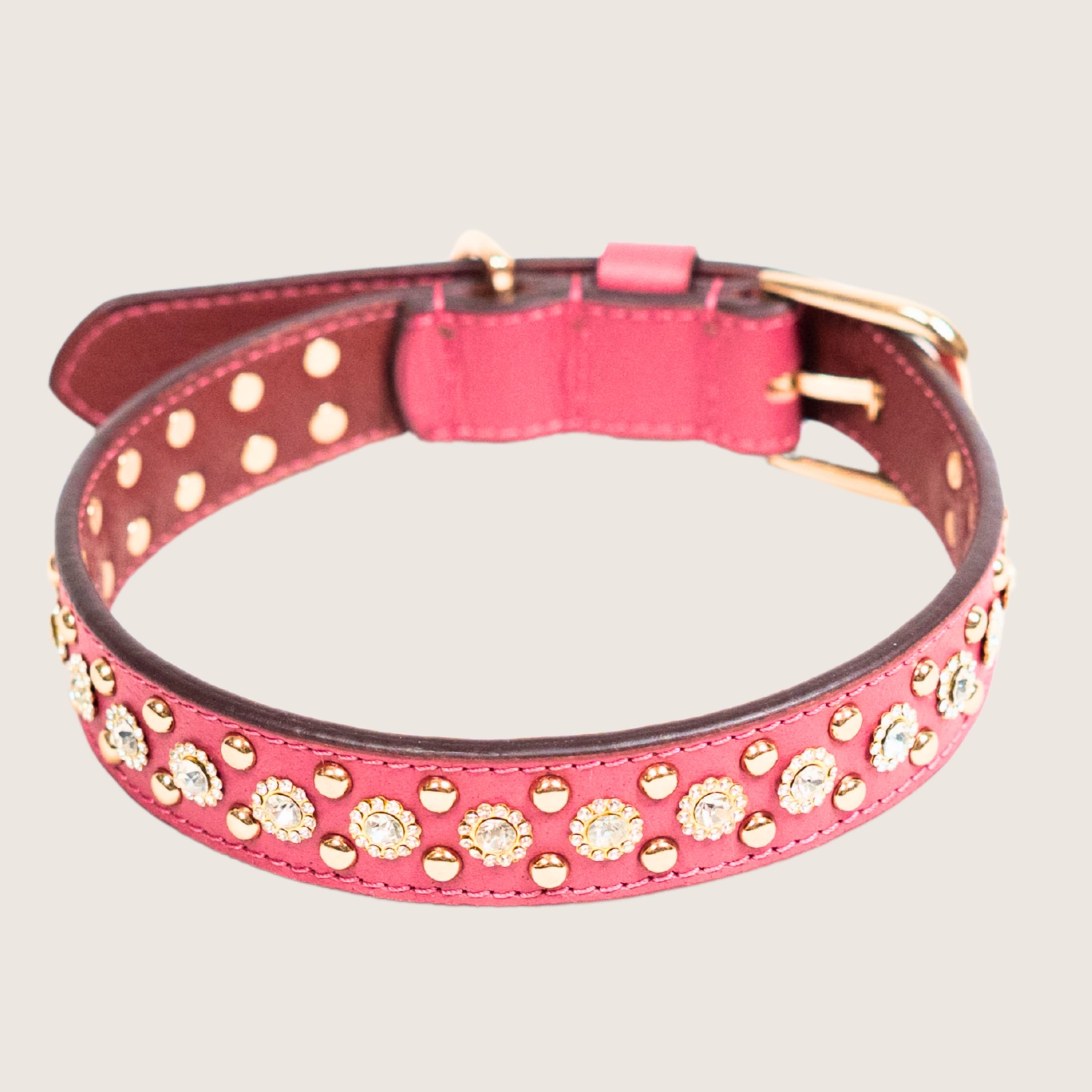 The Royale Collar by Pawfectus Industries Private Limted