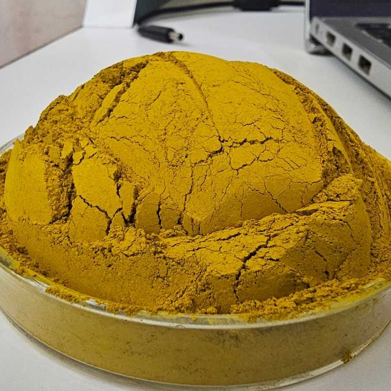 Berberine 65% HPLC Extract Powder
