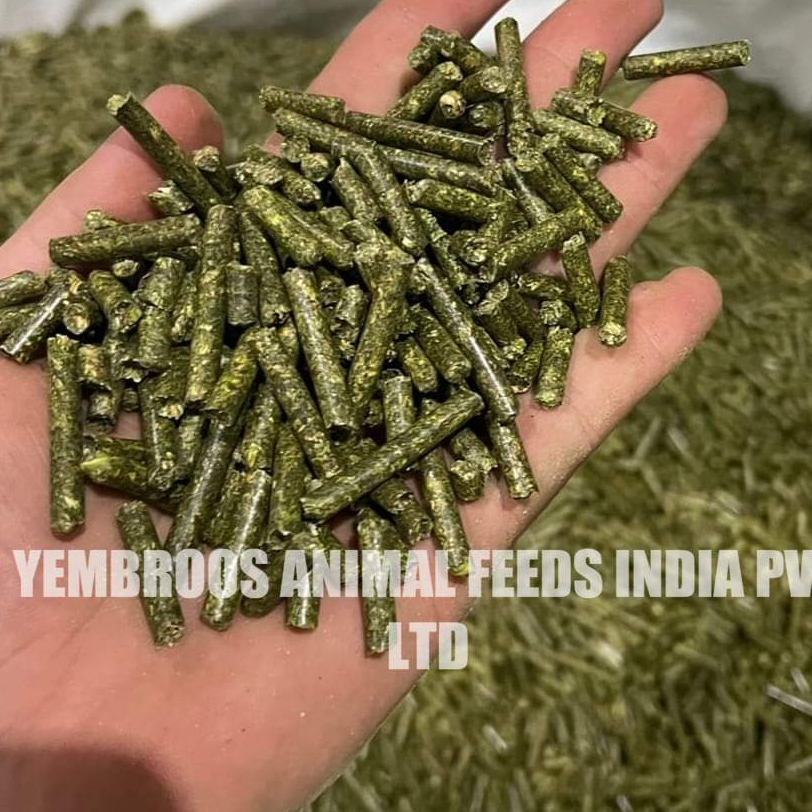 Alfalfa Pellets