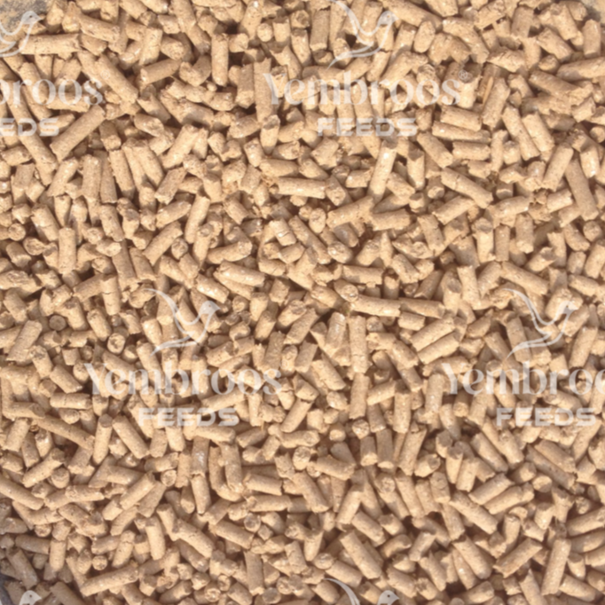 Wheat bran Pellet