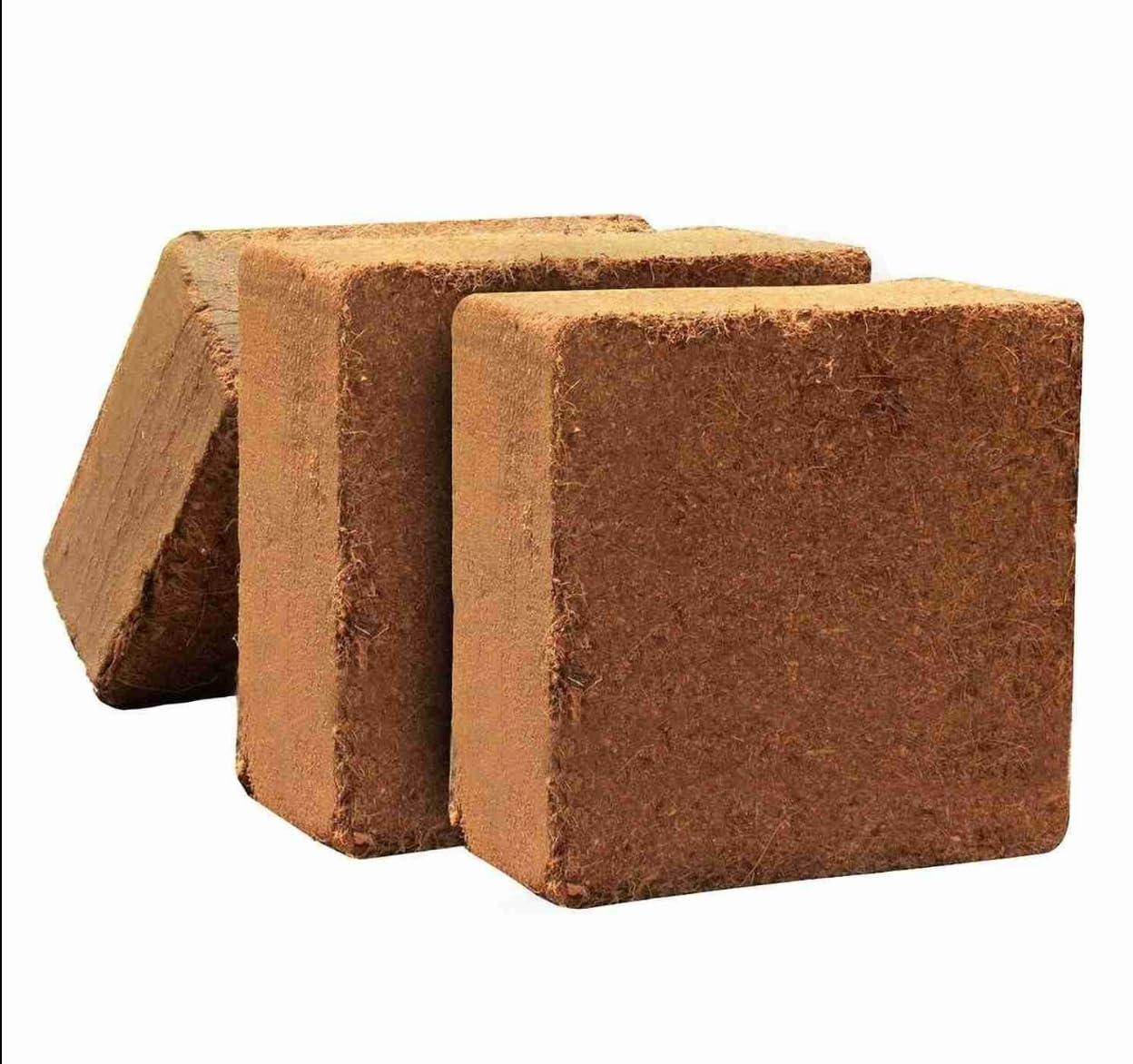 Export Grade Cocopeat Growing Medium