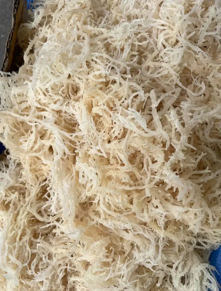Dried Eucheuma Cottonii Seaweed