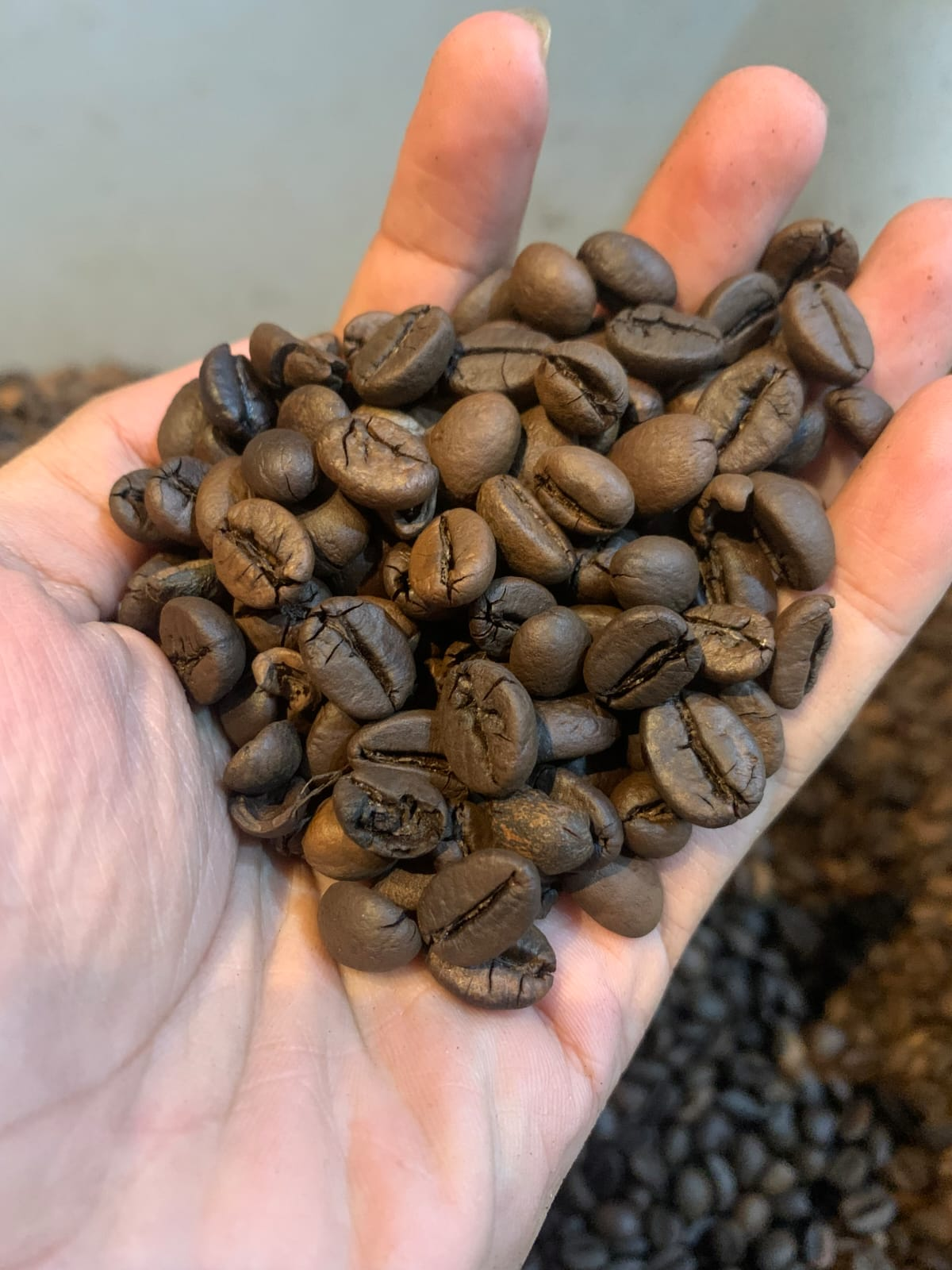 Roasted Robusta Coffee Beans
