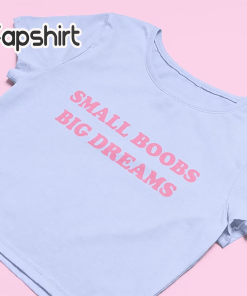 Small Boobs Big Dreams Crop Top |…