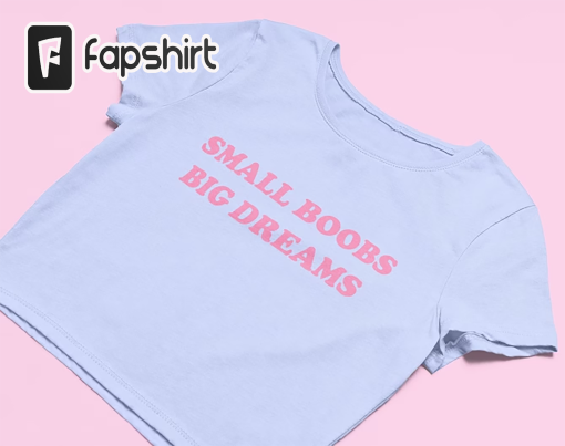 Small Boobs Big Dreams Crop Top | Cute Crop Top | Y2K Shirt | Graphic Shirt | Gift for Girlfriend | Y2K Baby Tee | 2000’s Crop Top