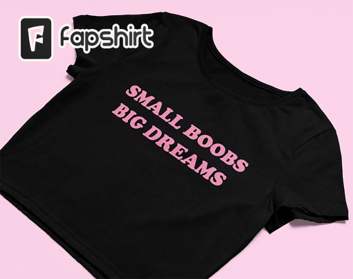 Small Boobs Big Dreams Crop Top | Cute Crop Top | Y2K Shirt | Graphic Shirt | Gift for Girlfriend | Y2K Baby Tee | 2000’s Crop Top