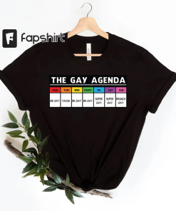 The gay agenda shirt, Gay Shirt, LGBT…