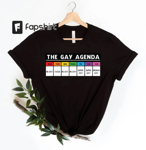 The gay agenda shirt, Gay Shirt, LGBT Shirt, Bisexual Shirt, Lesbian Shirt, vintage shirt, LGBT Gift, Pride Rainbow Shirt, trendy shirt