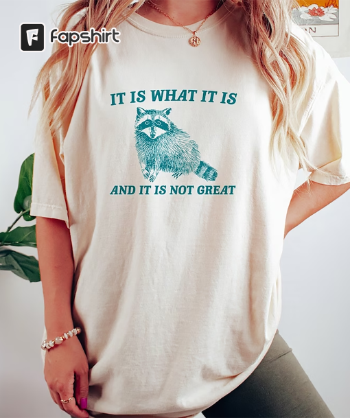 It Is What It Is And It Is Not Great – Vintage Drawing T Shirt, Raccoon Meme T Shirt, Funny Trash Panda T Shirt, Unisex Tee