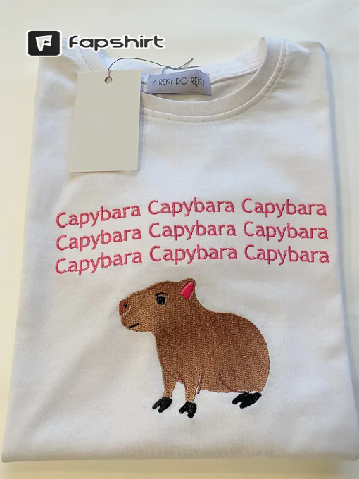 Gifts High Quality Capybara Sweater, Cute Unisex Embroidered Round Neck Long Sleeve Sweater – Multicolor