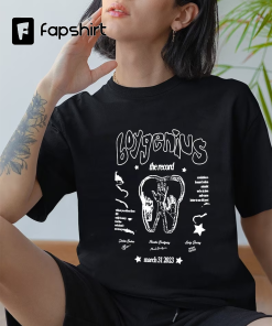 Boygenuiss Graphic Tour shirt, Boygenius Merch, Boygenius…