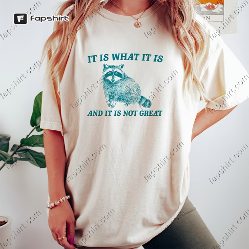 It Is What It Is And It Is Not Great – Vintage Drawing T Shirt, Raccoon Meme T Shirt, Funny Trash Panda T Shirt, Unisex Tee