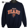 Chicago Bears Vintage Sweatshirt, NFL Football Shirt, Soldier Field, Bears Fan Gift, Superbowl, Gale Sayers, Chicago Skyline